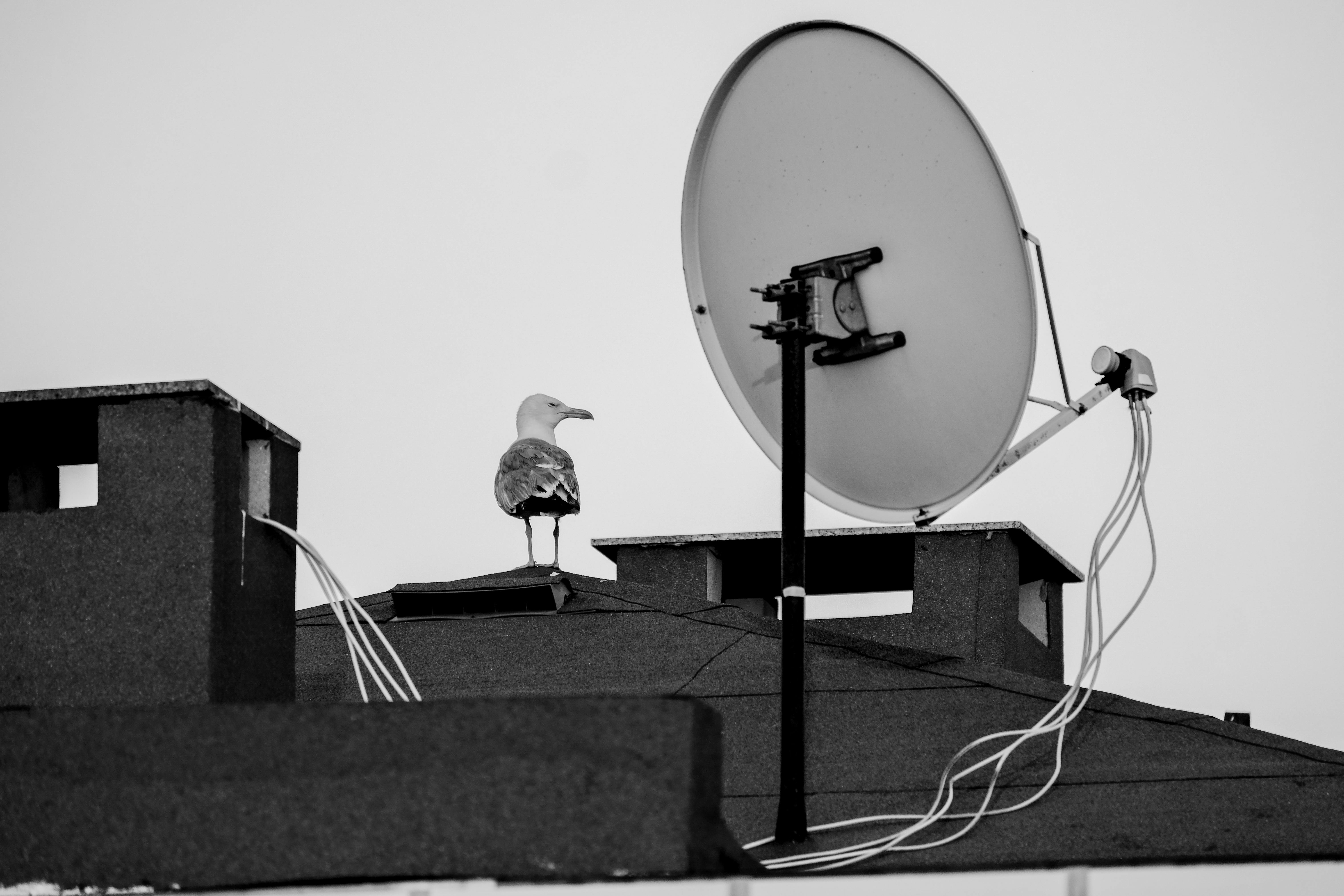 Satellite Dish Installation St Helens